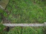 image of grave number 389083